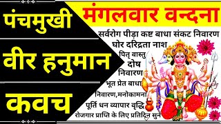 पंचमुखी वीर हनुमान कवचPanchmukhi Hanuman Kavachसभी मनोकामना पूर्ति के लिए सुनें ५ पाठहनुमानकवच [upl. by Lam935]