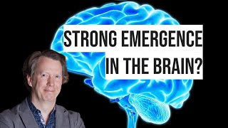 Strong Emergence vs The Core Theory Response to Sean Carroll [upl. by Ireland842]