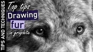 Top tips on how to draw fur in graphite  Photo realistic graphite drawings [upl. by Aronle]