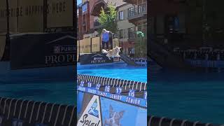 Dock Dogs  Dog Jumping Competition  GoPro Mountain Games Vail Colorado [upl. by Amar]