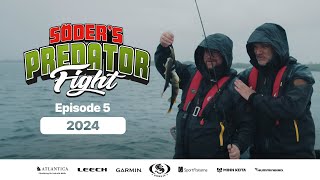 Predator Fight 2024  Episode 5 Multiple subtitles [upl. by Pangaro]