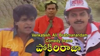 Pokiri Raja Telugu Movie  Venkatesh Ali Brahmanandam Comedy Scene  Roja  Pratibha Sinha [upl. by Oderfodog]