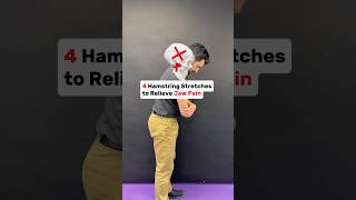 4 Hamstrings Stretches to releive tmj tmd tmjtreatment  physicaltherapy hamstrings [upl. by Davey]