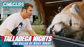 Getting Attacked By A Cougar  Talladega Nights  CineStream [upl. by Enelia]