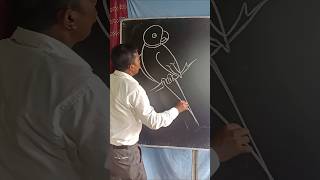 Parrot bird drawing for beginners parrotartdrawingshortstrendingyoutubeshorts [upl. by Aiclid]