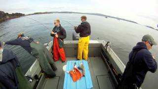 The Best Salmon Fishing is in Craig Alaska [upl. by Nnylecyoj]