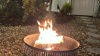 Basenji Adventures fire pit LIVE [upl. by Helaine161]