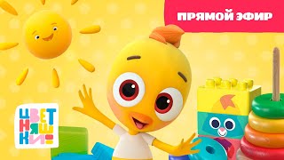 🚀 Волшебное Утро с Цыплёнком Пи Смех и Радость в Прямом Эфире 😂🐥 [upl. by Atinra]