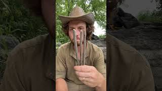 Primitive LiveCatch Trap  Figure 4 Trap survival outdoorskills primitivetechnology bushcraft [upl. by Concoff]