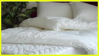 5 astuces pour désinfecter correctement votre matelas [upl. by Casper]