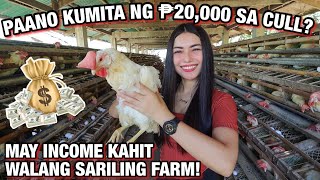 PAANO KUMITA NG ₱20000 SA CULL KAHIT WALANG SARILING POULTRY FARM💸🐓 Kumikitang Kabuhayan Tinmay [upl. by Olag32]