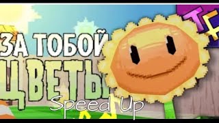 ЗА ТОБОЙ ЦВЕТЫ  Speed Up [upl. by Naes500]