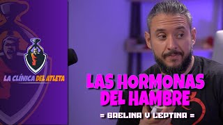 Las hormonas del hambre [upl. by Nevi]