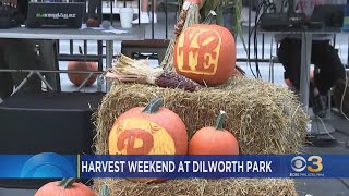 Harvest Weekend happening at Dilworth Park [upl. by Oir651]