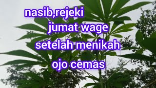 nasib dan rejeki petung weton jodoh Jumat wage [upl. by Notneb217]