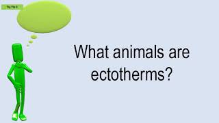 What Animals Are Ectotherms [upl. by Sulokcin]