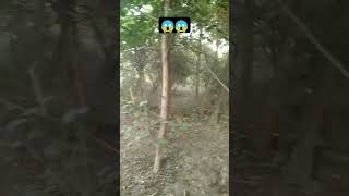 Bear Grylls in hindiman vs wild in hindishorts youtubeshorts trending funny [upl. by Aliel]