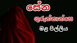 සේන ගුරුන්නාන්සෙ  මළ පිල්ලිය  Sinhala Ghost Stories  Ghost2U [upl. by Damita320]