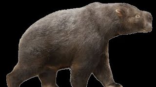 Jurassic UK 15 diprotodon [upl. by Narine2]