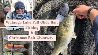 Fall glide bait bass fishing on Watauga Lake TN amp Glide bait GIVEAWAY [upl. by Erdreid]