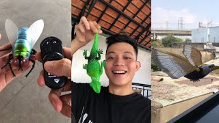 Review Đồ Chơi Con Ruồi Siêu To Khổng Lồ😱Tắc Kè Hoa 🦎Siêu Dễ Thương🥰…Có Hình Dáng Kỳ LạPhần8 [upl. by Meece]