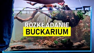 Likwidacja Buckarium 20  Luźna gadka [upl. by Nydia203]