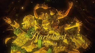 Hartebeest  Yaelokre traduçãolegendado e letra lyrics [upl. by Janis]