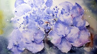 ✿The Waltz of Hydrangeas✿ amp Hypnotic Hydrangea Art [upl. by Adnala]