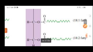 Triacylglycerol [upl. by Acihsay566]