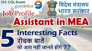 Assistant in MEA Interesting Facts You MUST KNOW [upl. by Ynahpets]