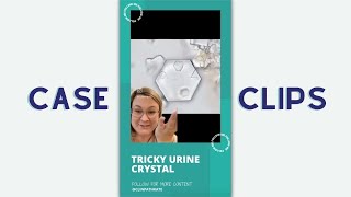 Cytology Case Clips Tricky Urine Crystals in a Dog [upl. by Johannessen906]