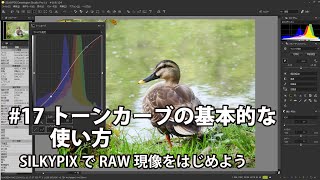 SILKYPIXでRAW現像をはじめよう 17 トーンカーブの基本的な使い方 [upl. by Mallina]