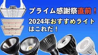 プライム感謝際間近！2024年おすすめライトはこれだ！ 4K [upl. by Drucie]