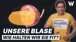 Unsere Blase Funktion amp Tipps für eine starke Harnblase Typische Erkrankungen [upl. by Lleruj]