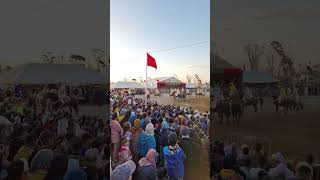 موسم الخيول السنوي لكرسيف 2024 🇲🇦🐎🐴🇲🇦💕Festival annuel de Gurcef 2024 🇲🇦🐎🐎🐎🐴🐎🐎🐎🇲🇦💕💕 [upl. by Nylesoy]