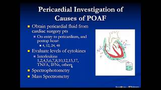 Webinar 3 Recording  Dr Spencer Melby [upl. by Glenine]