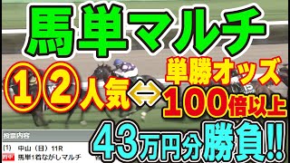 【競馬検証】43万円投資！馬単マルチ①②人気→単勝万馬券の馬で買ってみた！ [upl. by Donadee]