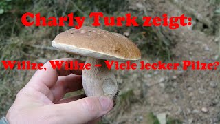 Willze Willze  viele lecker Pilze HD [upl. by Ullund]