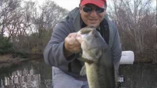 Fall Bass Fishing  Downsize When Its Tough [upl. by Yditsahc]