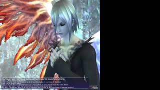 FFXI Rhapsodies of Vanadiel Mission 313 [upl. by Falda]