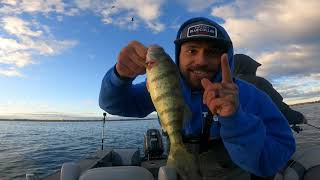 Lake Simcoe Fall Perch Fishing [upl. by Lajib261]