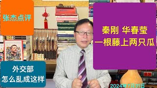 华春莹重复秦刚悲剧 外交部已成内斗战场 [upl. by Wordoow]