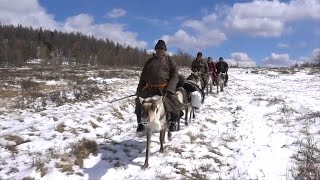 Video aus der Mongolei Naturschutz vs RentierNomaden  DER SPIEGEL [upl. by Nyrehtac237]