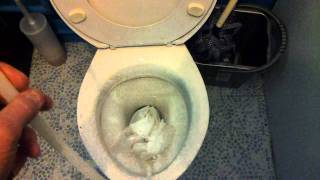 How to Unblock Your Toilet Like a Plumber [upl. by Carolina]