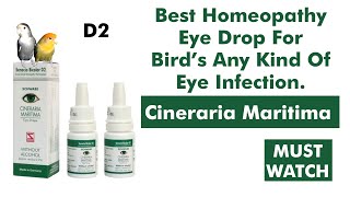 Best Homeopathy Eye Drop For Our Birds Cineraria Maritima Special Live For Your Birds [upl. by Eirehs]