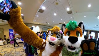 Texas Furry Fiesta 2024  Random Clips [upl. by Kylander]