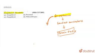 Dryopithecus is also called as [upl. by Yaral]