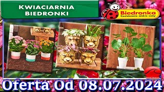 BIEDRONKA🐞Kwiaciarnia Biedronki Nowa Oferta Od 08072024 Kwiatowe Inspiracje Biedronki Tanie Kwiat [upl. by Dyl365]