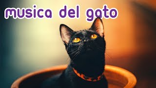 💫Música Magica para Gatos  Relájese y Calme a su Felino al Instante [upl. by Nadoj]