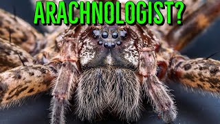 What Is An Arachnologist amp How Do I Become One [upl. by Neelrad]